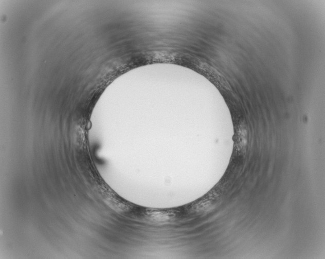 X0000087380522200705111739