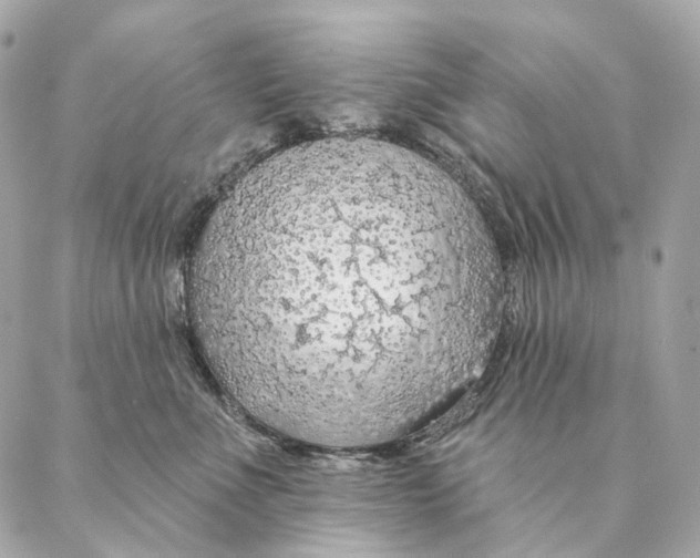 X0000087380523200705111739