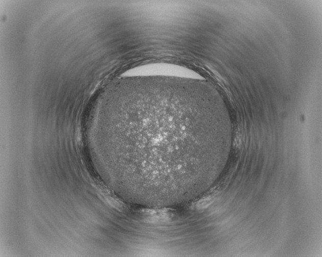 X0000087380524200705111739