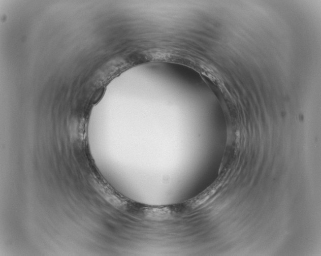 X0000087380525200705111739