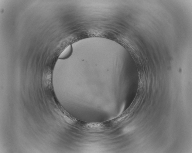 X0000087380526200705111738