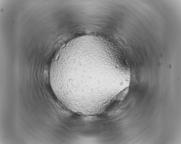 X0000087380527200705111738