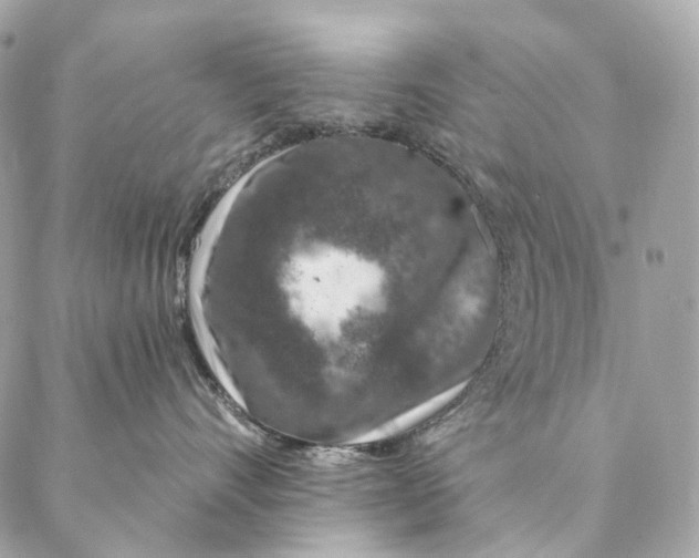 X0000087380528200705111738