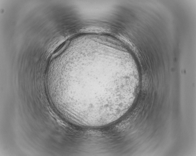 X0000087380529200705111738