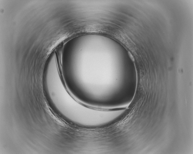 X0000087380530200705111738