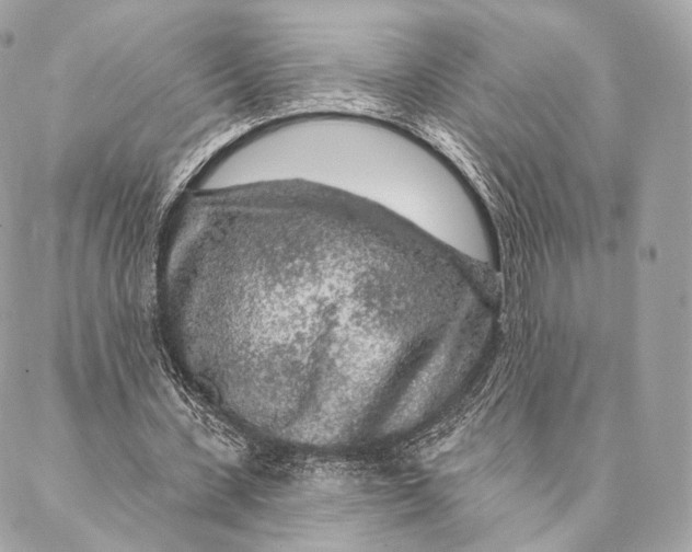 X0000087380531200705111738