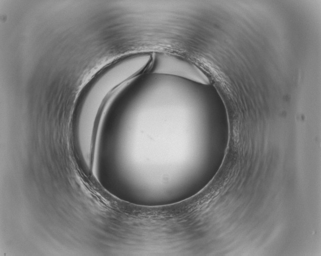 X0000087380532200705111738