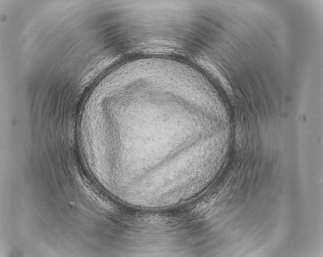 X0000087380533200705111738