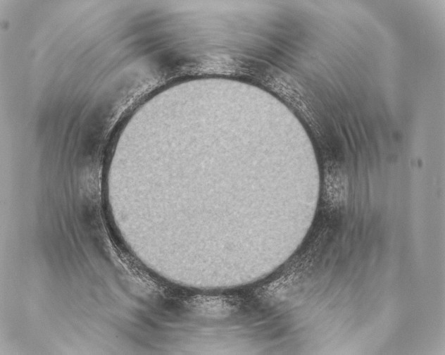 X0000087380534200705111738