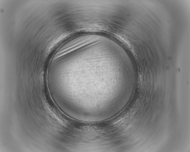 X0000087380535200705111738