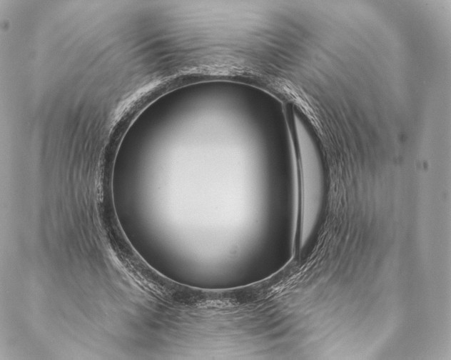 X0000087380536200705111738