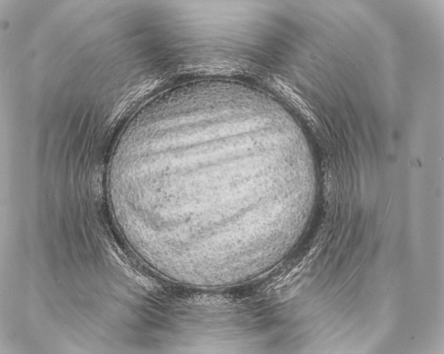 X0000087380537200705111738