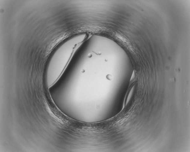 X0000087380538200705111738