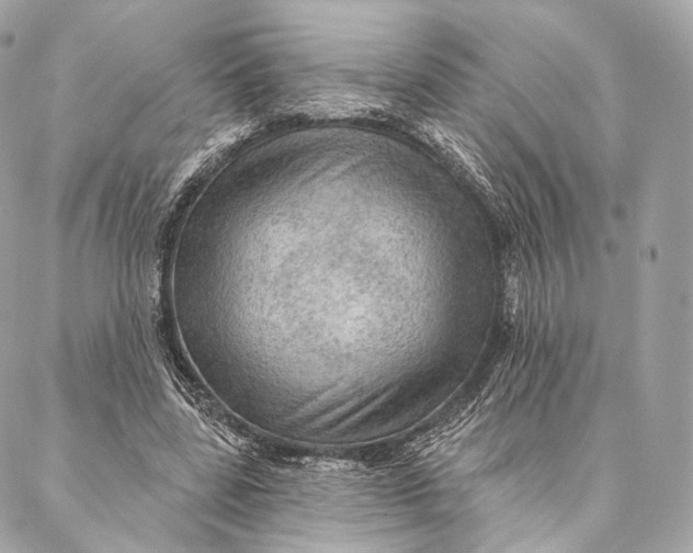 X0000087380539200705111738