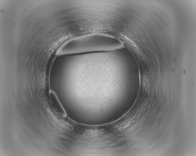 X0000087380540200705111738