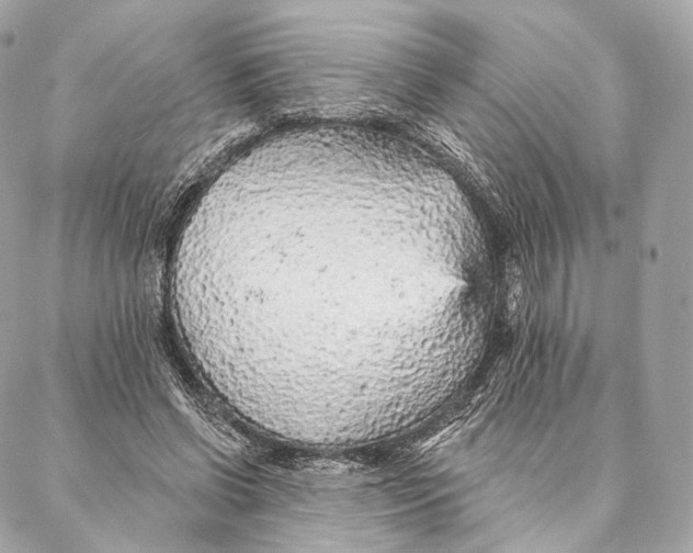 X0000087380542200705111738