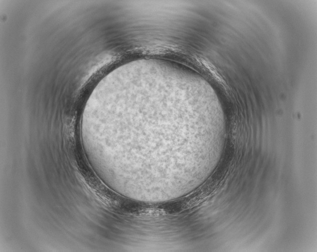 X0000087380543200705111738