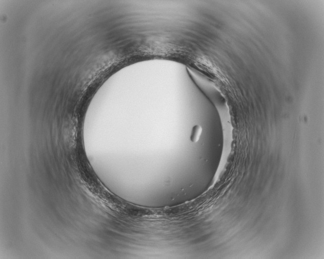 X0000087380544200705111738