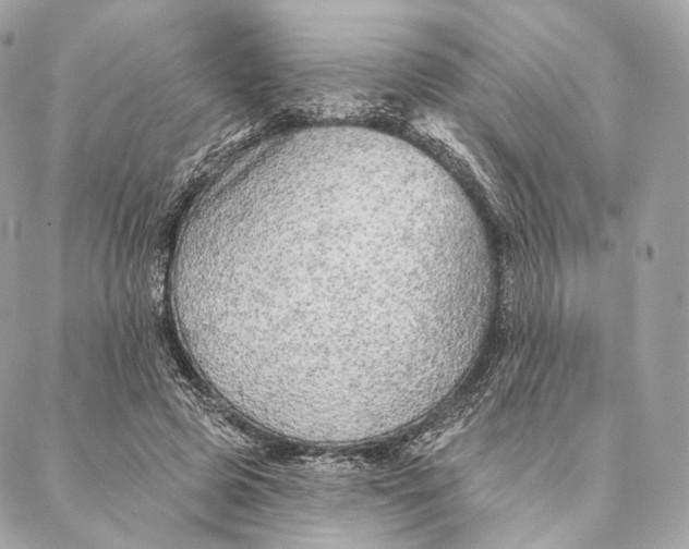 X0000087380545200705111738