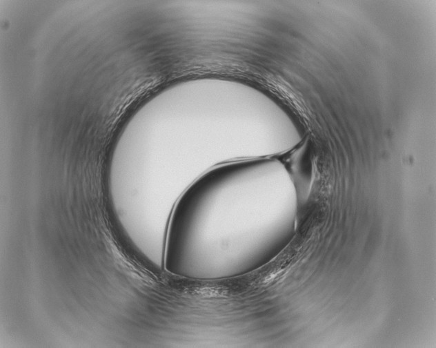 X0000087380546200705111738