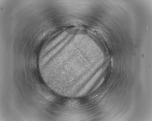 X0000087380547200705111738