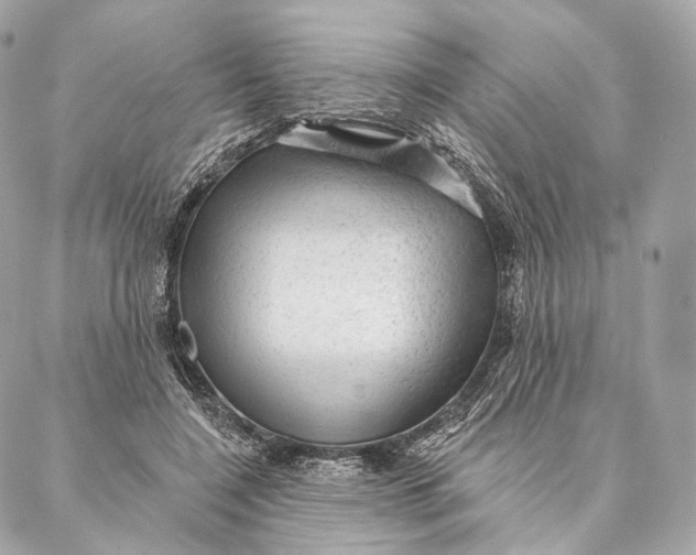 X0000087380548200705111738