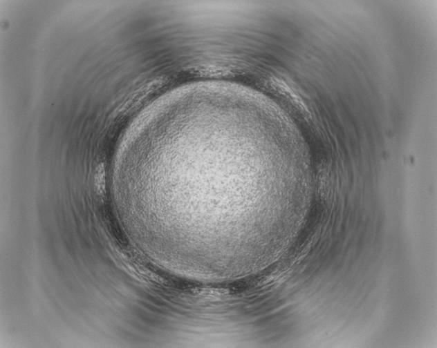 X0000087380549200705111738