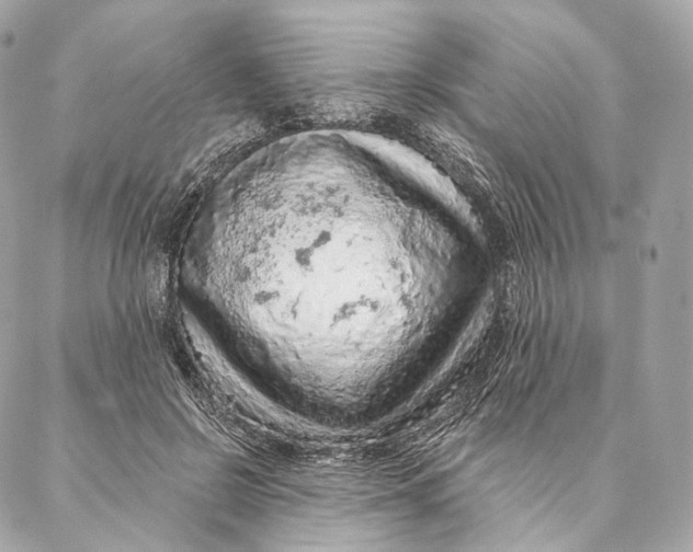 X0000087380550200705111738