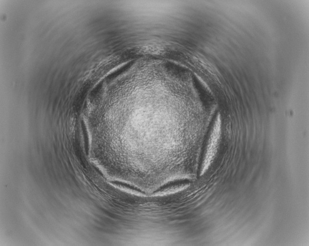 X0000087380551200705111738