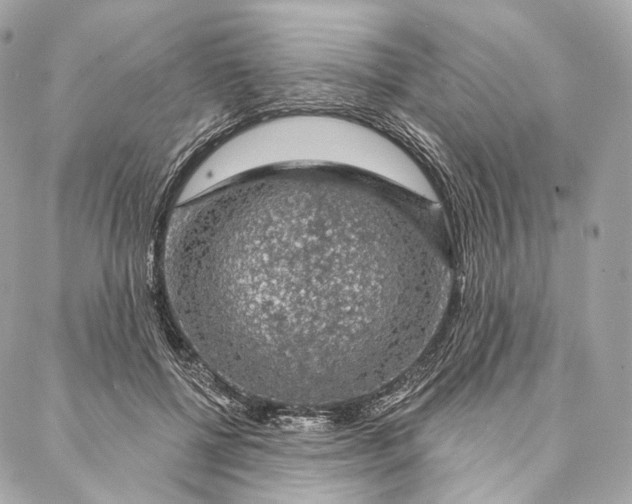 X0000087380552200705111738