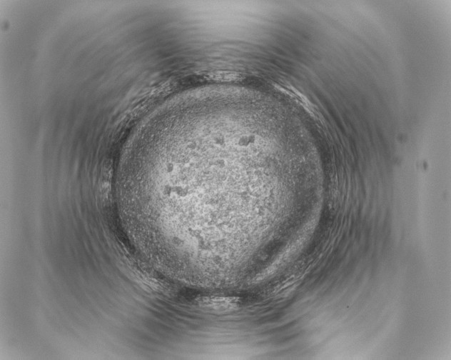 X0000087380553200705111738