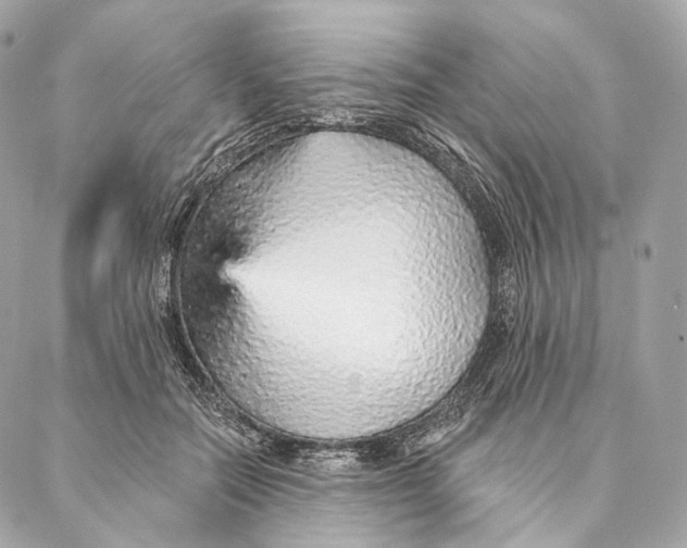 X0000087380554200705111738