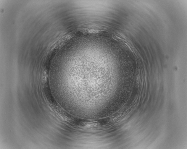 X0000087380555200705111738