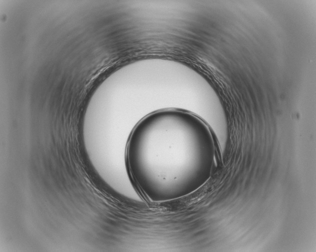 X0000087380556200705111738