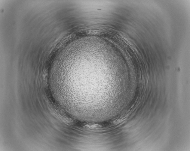 X0000087380557200705111738