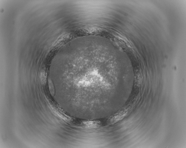 X0000087380558200705111738