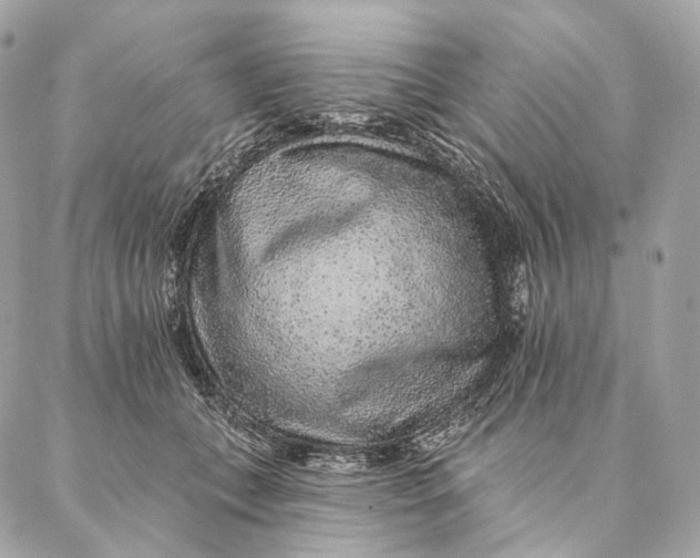 X0000087380559200705111738