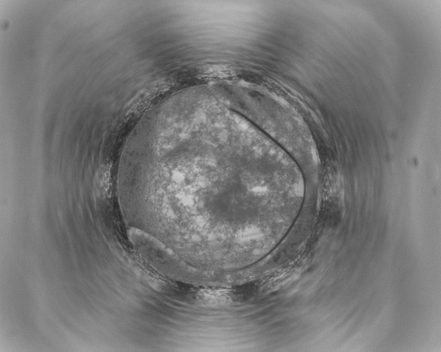 X0000087380560200705111738