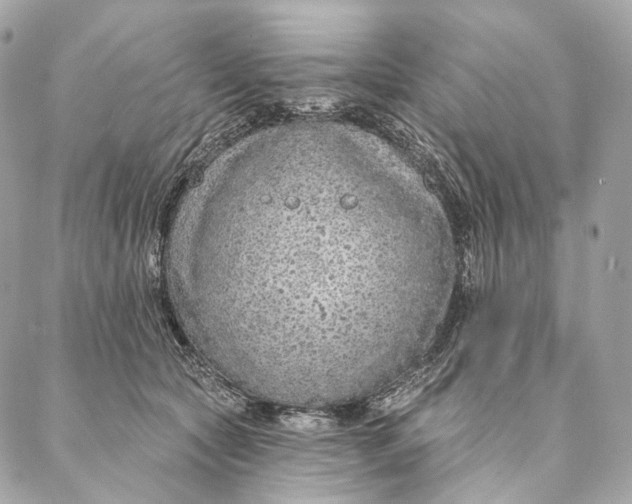 X0000087380561200705111738