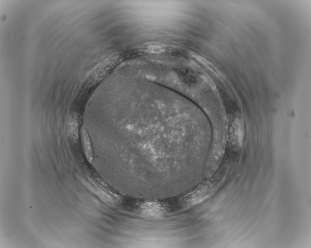 X0000087380562200705111738