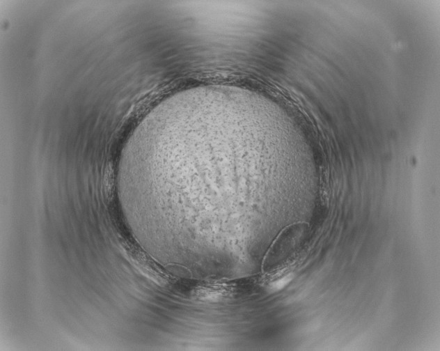 X0000087380563200705111738