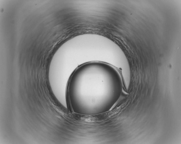 X0000087380564200705111738