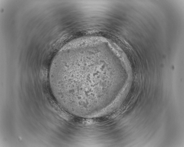 X0000087380565200705111738