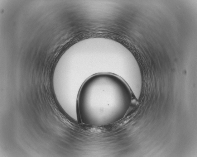 X0000087380566200705111738