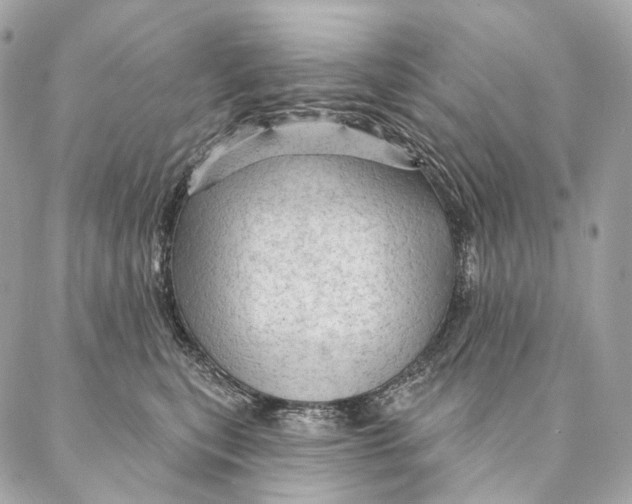 X0000087380567200705111738