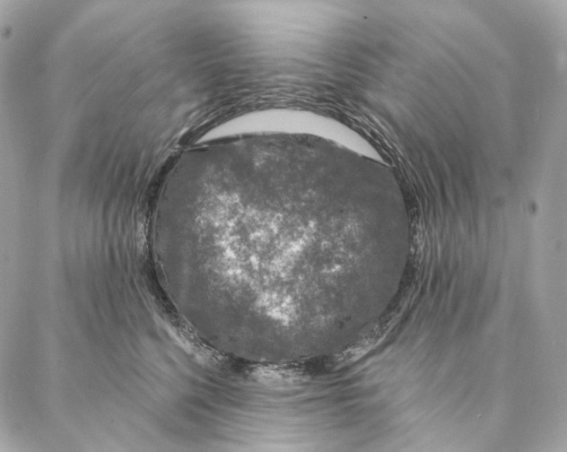 X0000087380568200705111738