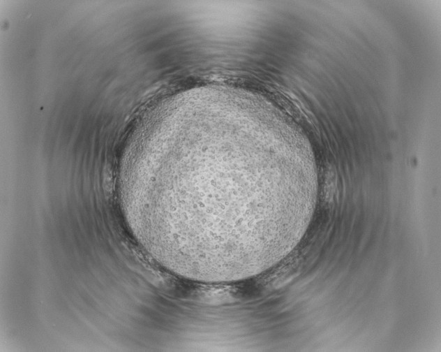 X0000087380569200705111738