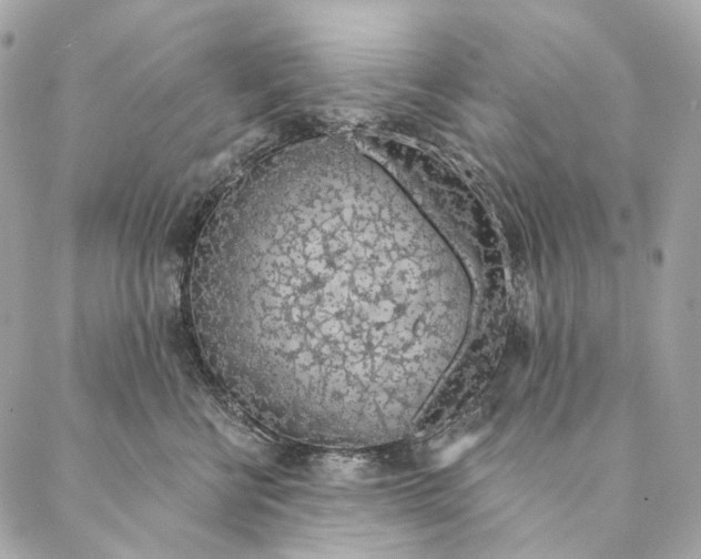 X0000087380570200705111738