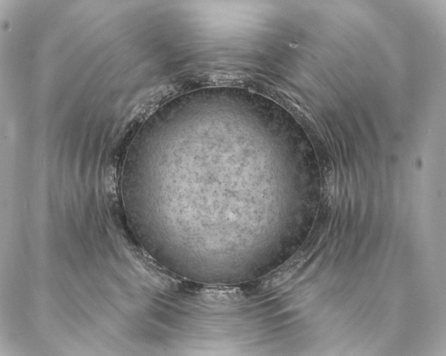 X0000087380571200705111738