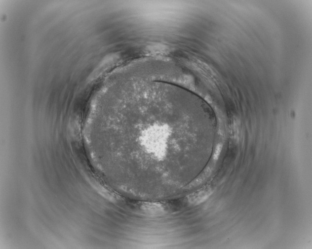 X0000087380572200705111738